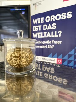 Gehirn